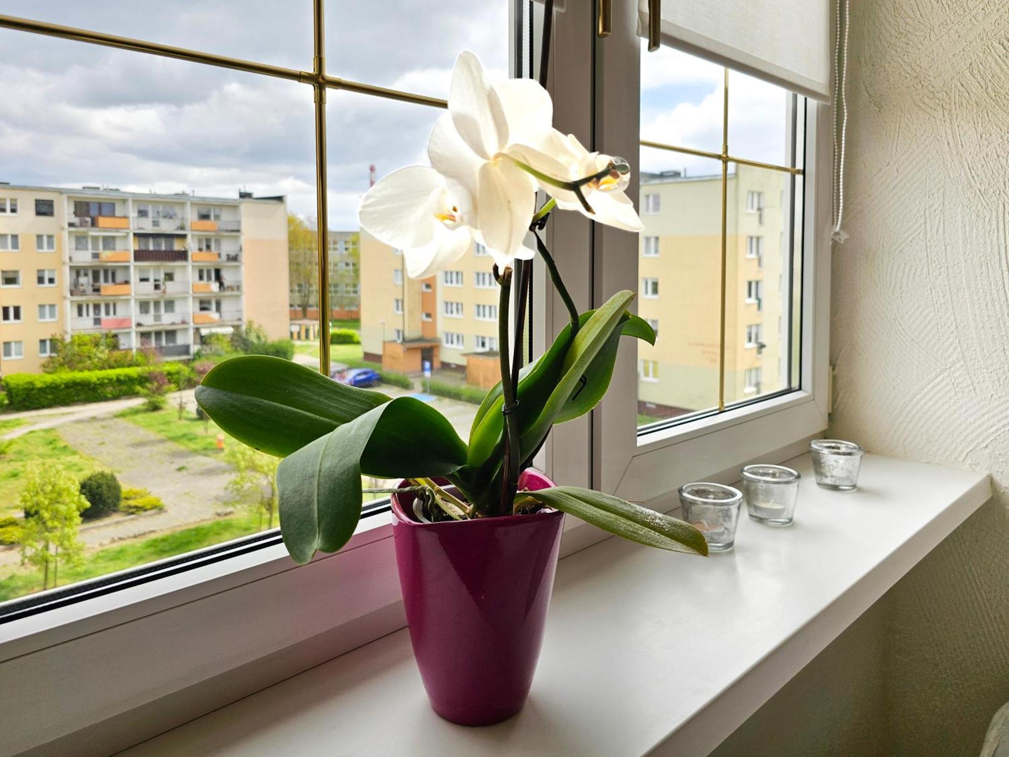 Visit Baltic - Apartament Sunny Swinoujscie Luaran gambar